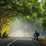 e bike environmental impact